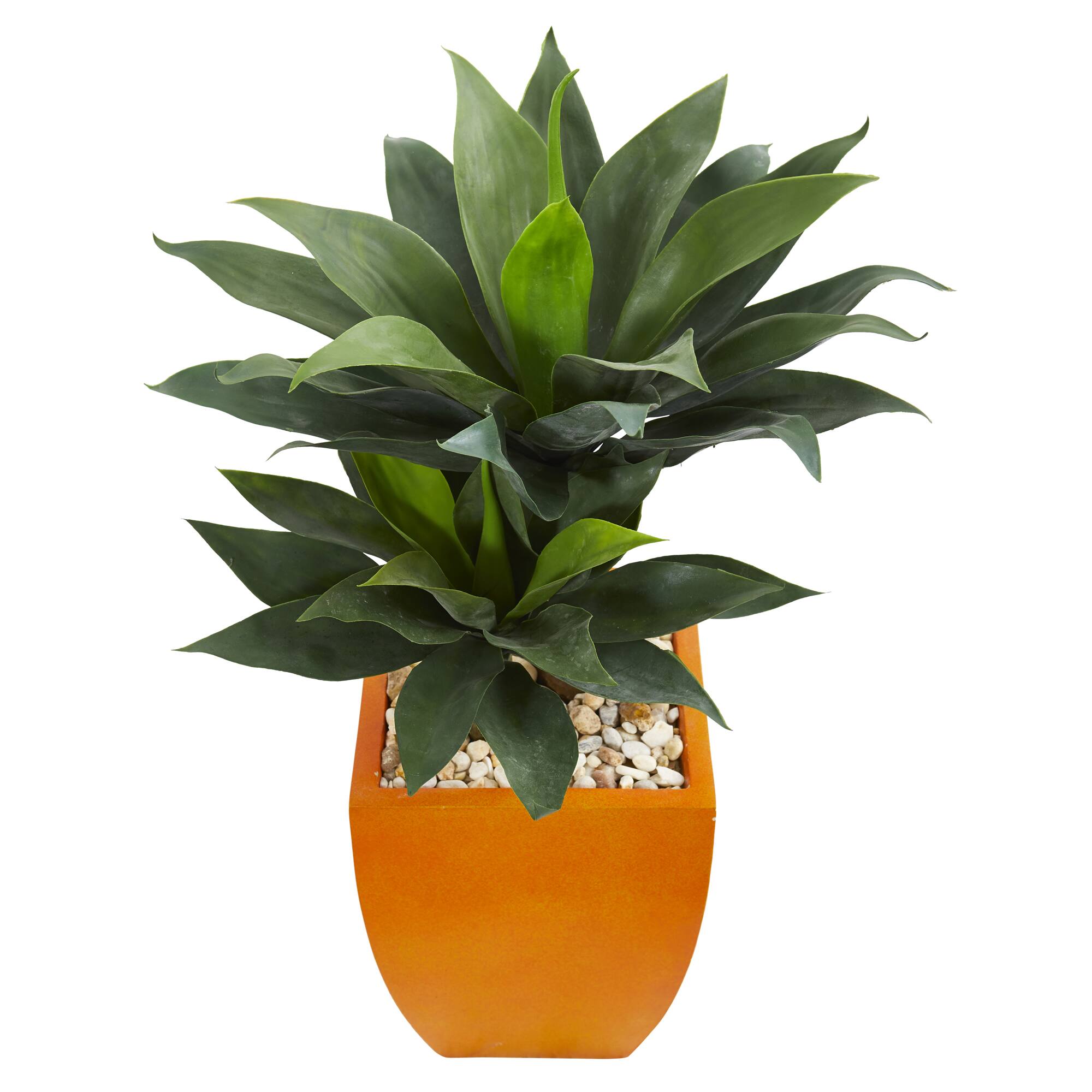 3ft. Double Agave Succulent Plant in Orange Planter